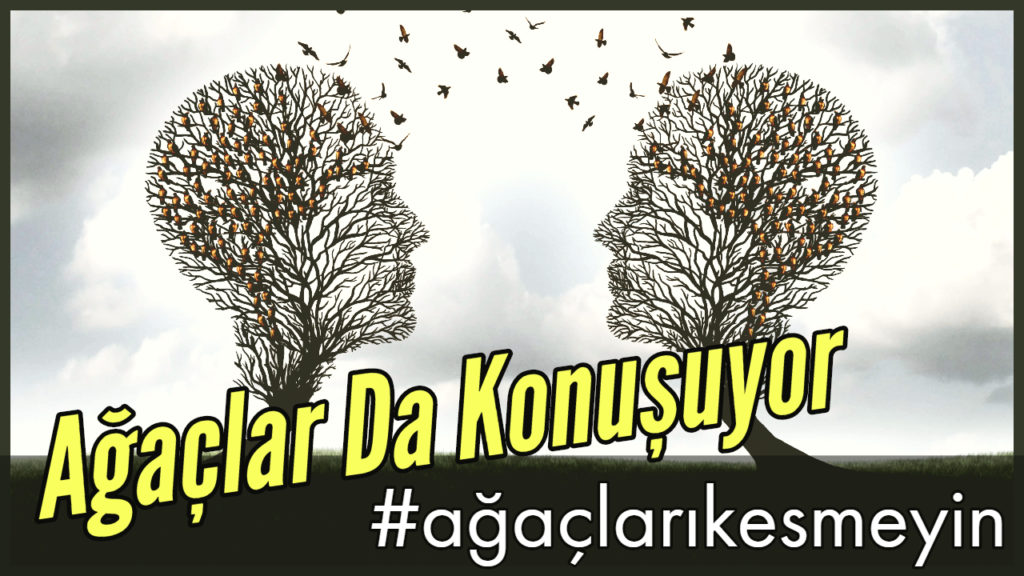 Ağaçlar Bize Bir Şeyler Anlatıyor – #ağaçlarıkesmeyin