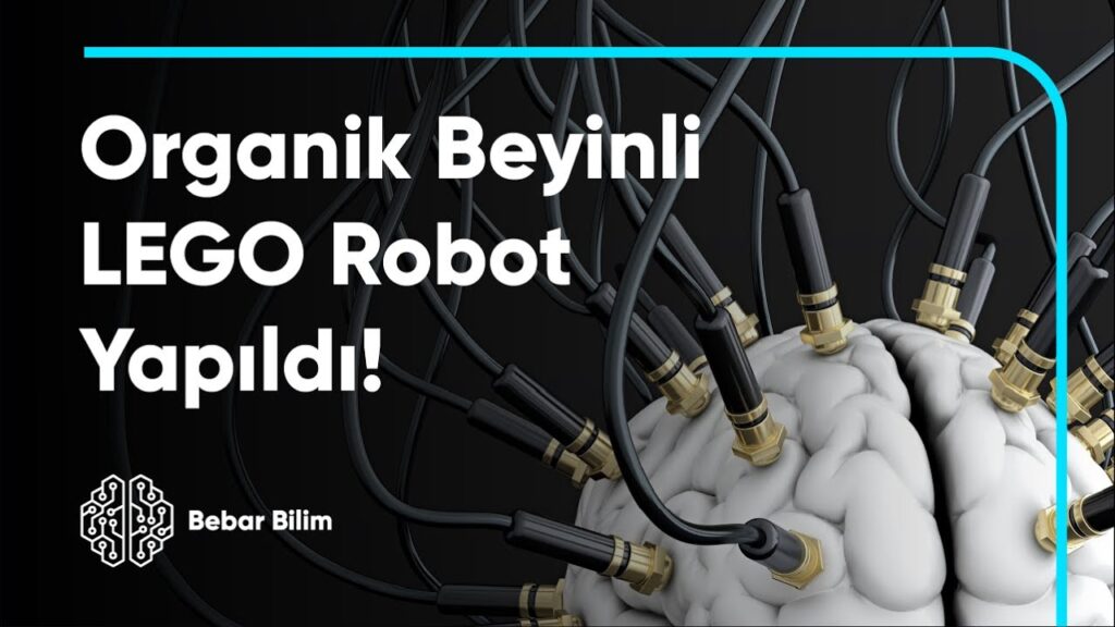 Organik Beyinli LEGO Robot Yapıldı!