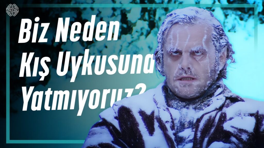 Biz Neden Kış Uykusuna Yatmıyoruz?