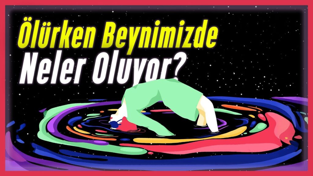Ölüm Anında Beynimizde Neler Olduğu Keşfedildi!