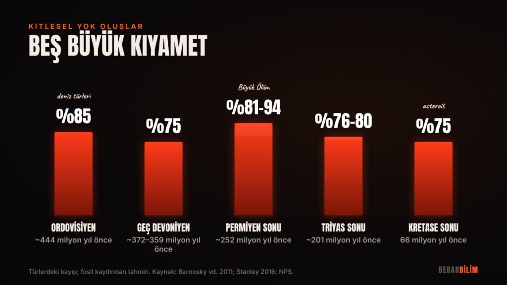 Beş büyük kitlesel yok oluş ve her birinde kaybolduğu tahmin edilen tür oranları