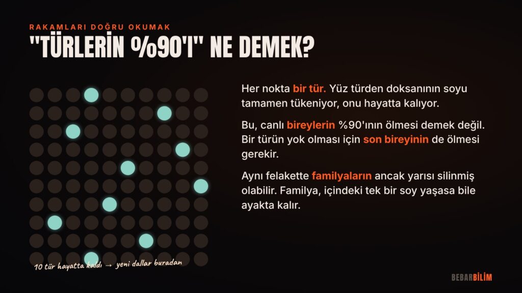 Tür kaybı ile birey kaybı aynı şey değil