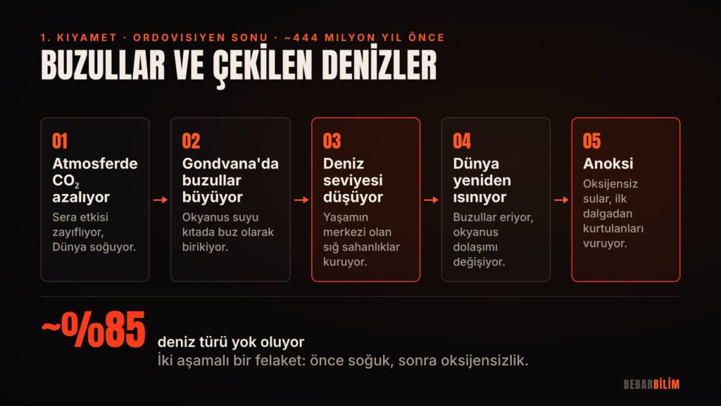 Ordovisiyen sonu yok oluşu iki aşamalı bir felaketti: önce soğuma ve çekilen denizler, ardından oksijensiz sular
