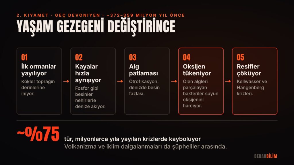 Karadaki ormanlar ile denizdeki oksijensizlik arasındaki olası bağ