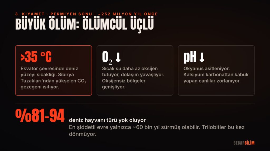 Büyük Ölüm'ün "ölümcül üçlüsü": ısınma, oksijen kaybı ve asitlenme