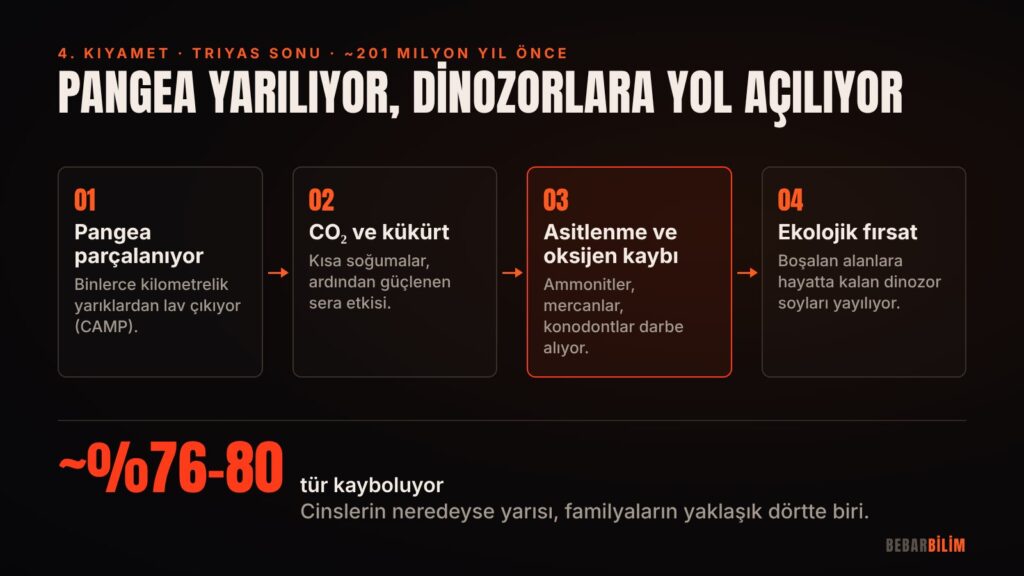 Triyas sonu yok oluşu ve dinozorlara açılan "ekolojik fırsat"