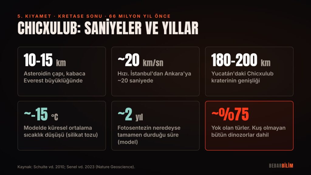Chicxulub çarpmasının sayıları: birkaç saniyelik çarpma, yıllarca süren karanlık