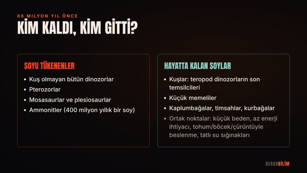66 milyon yıl önce soyu tükenenler ve hayatta kalanlar